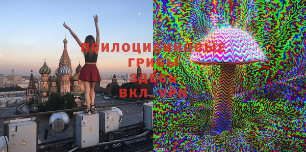 ПСИЛОЦИБИНОВЫЕ ГРИБЫ Пересвет