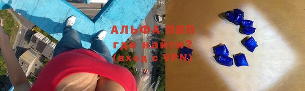 ПСИЛОЦИБИНОВЫЕ ГРИБЫ Пересвет