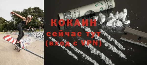 ПСИЛОЦИБИНОВЫЕ ГРИБЫ Пересвет